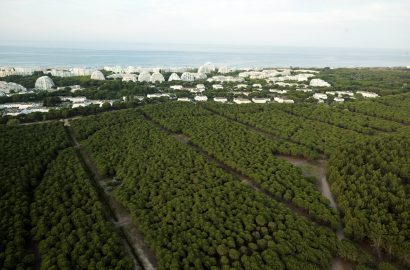 Balade nature : à la découverte d’un littoral en pleine évolution sur le Lido de l’Or